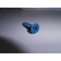 Blue Ruspert Flat Head Concrete Screw